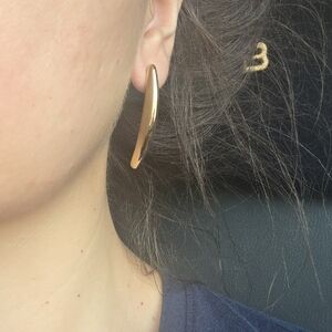 Elegant Gold Earrings